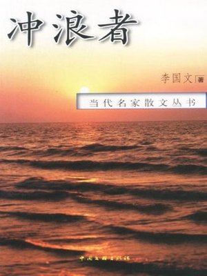 cover image of 冲浪者 (Surfers)